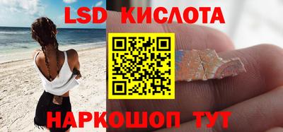 СК Бийск