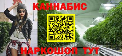 СК Бийск