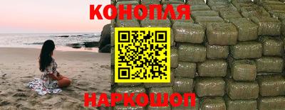 СК Бийск
