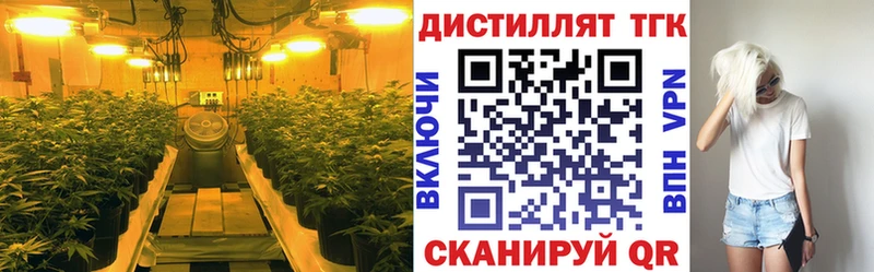 Дистиллят ТГК гашишное масло  Старая Русса 