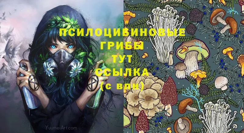 Галлюциногенные грибы Psilocybe  ссылка на мегу рабочий сайт  Старая Русса 