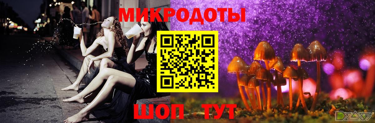 Псилоцибиновые грибы Psilocybe Старая Русса