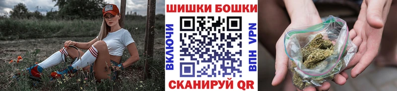 где можно купить   Старая Русса  Канабис индика 